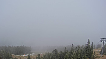 Snímek 8.11.2025 v 12:30