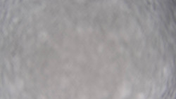 Bergstation Weißenelfbahn