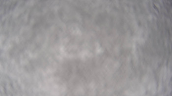 Snímek 17.11.2025 v 12:30