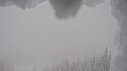 Bergstation Weißenelfbahn