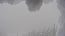 Bergstation Weißenelfbahn