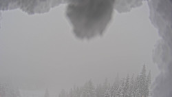 Bergstation Weißenelfbahn