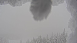 Bergstation Weißenelfbahn