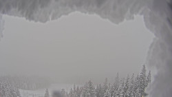 Bergstation Weißenelfbahn