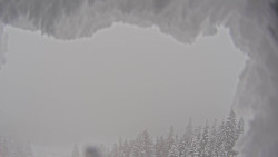 Bergstation Weißenelfbahn