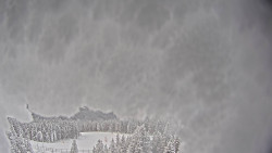 Bergstation Weißenelfbahn