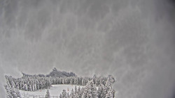 Bergstation Weißenelfbahn