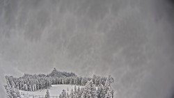 Bergstation Weißenelfbahn