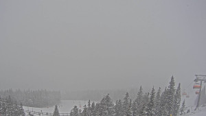 Stuhleck - Bergstation Weißenelfbahn - 10.1.2026 v 14:30 Stuhleck - Bergstation Weißenelfbahn - 10.1.2026 v 14:30