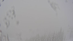 Bergstation Weißenelfbahn