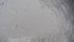 Bergstation Weißenelfbahn