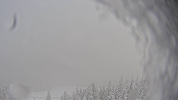 Bergstation Weißenelfbahn