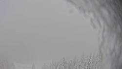 Bergstation Weißenelfbahn