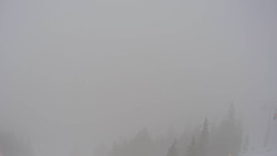 Bergstation Weißenelfbahn