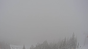 Stuhleck - Bergstation Weißenelfbahn - 29.3.2026 v 08:00 Stuhleck - Bergstation Weißenelfbahn - 29.3.2026 v 08:00