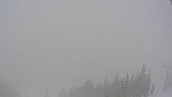 Bergstation Weißenelfbahn