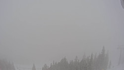 Bergstation Weißenelfbahn