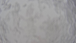 Bergstation Weißenelfbahn