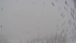 Bergstation Weißenelfbahn