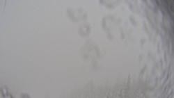 Bergstation Weißenelfbahn