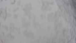 Bergstation Weißenelfbahn