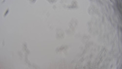 Bergstation Weißenelfbahn