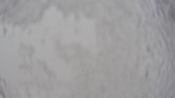 Bergstation Weißenelfbahn