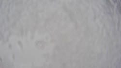 Bergstation Weißenelfbahn