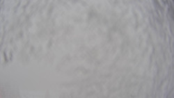 Bergstation Weißenelfbahn