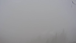 Bergstation Weißenelfbahn