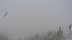 Bergstation Weißenelfbahn