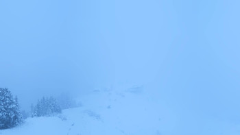 Snímek    3.11.2025 v 07:01