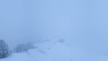 Snímek    3.11.2025 v 07:16