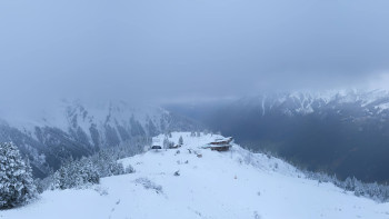 Snímek    3.11.2025 v 08:01