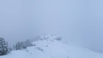 Snímek    3.11.2025 v 08:16