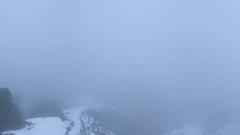 Snímek 17.11.2025 v 08:01