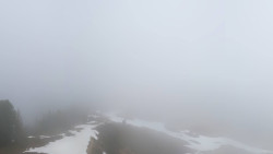 Hochsitz