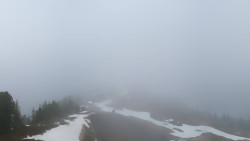 Hochsitz