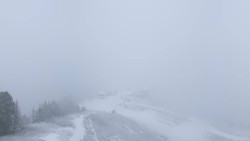 Hochsitz