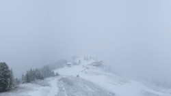 Hochsitz