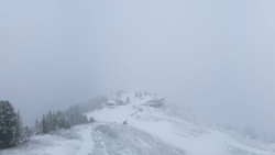 Hochsitz