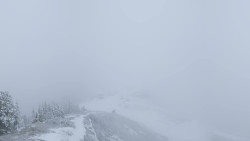 Hochsitz