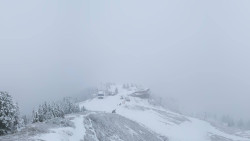 Hochsitz