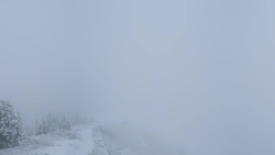 Hochsitz