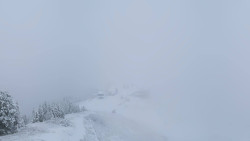 Hochsitz