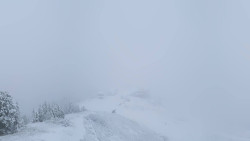 Hochsitz