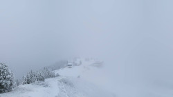 Hochsitz