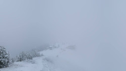 Hochsitz