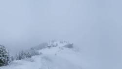 Hochsitz