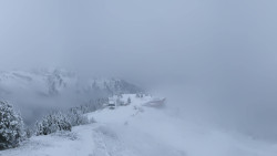 Hochsitz